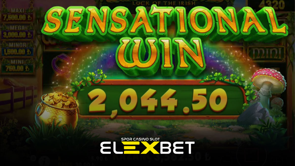 Elexbet Wid Wild Riches Nasıl Oynanır?