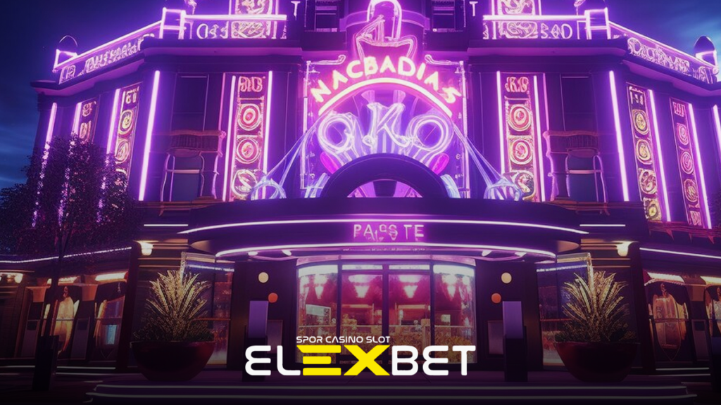 Elexbet Altyapı Sağlayıcıları