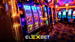 Elexbet Accamax sağlayıcısı